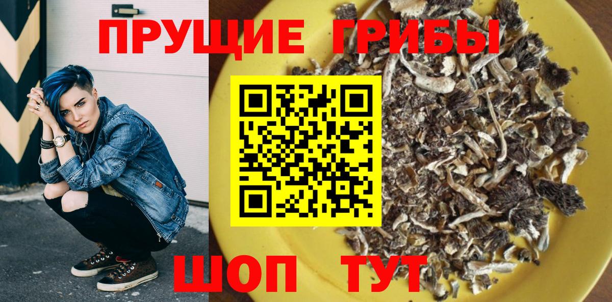 как найти закладки  Псилоцибиновые грибы Cubensis  Вход с VPN  Магнитогорск 